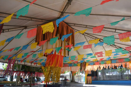 Palco Charles Albert-fotos Jorge Magalhaes (4)
