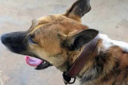 FB_IMG_1761679329072