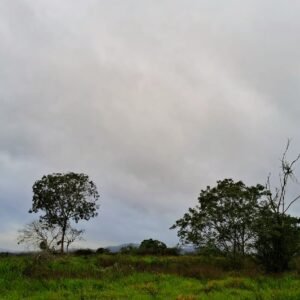 bd30e877-06c5-4d04-a3bc-bec6798f5e01~2
