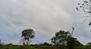 bd30e877-06c5-4d04-a3bc-bec6798f5e01~2