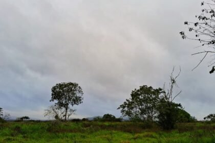 bd30e877-06c5-4d04-a3bc-bec6798f5e01~2