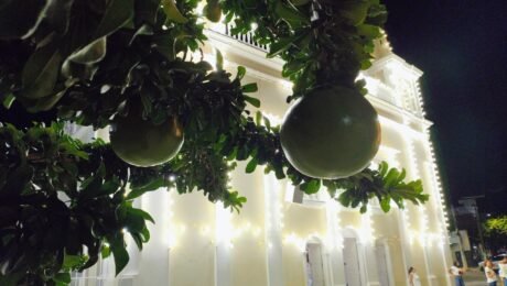 IMG_20260216_185527168~3