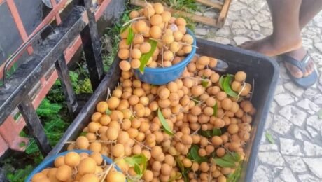 FB_IMG_1772718317708